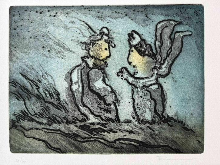 Roger Vansevenant - kleurenets, Antiek en Kunst, Kunst | Etsen en Gravures, Ophalen of Verzenden