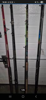 Stevige hengels snoek snoekbaars karper barbeel, Enlèvement