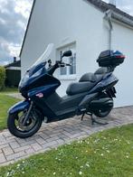 Scooter Honda, 12 à 35 kW, Scooter, Particulier, 2 cylindres