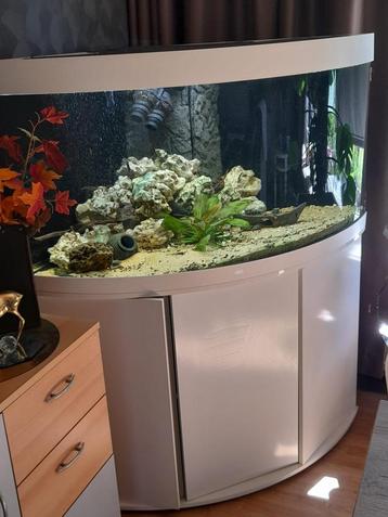 Aquarium, Dieren en Toebehoren, Ophalen, Zo goed als nieuw, Gevuld zoetwateraquarium
