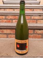 Cantillon - Fou' Foune 2024, Enlèvement, Neuf, Bouteille(s)