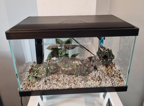 Aquarium 20L - Quasiment neuf, Dieren en Toebehoren, Vissen | Aquaria en Toebehoren, Zo goed als nieuw, Filter of Co2, Ophalen