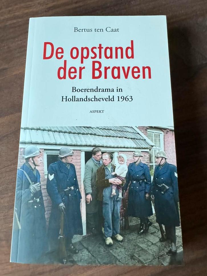 Bertus ten Caat De Opstand der Braven, Boeken, Politiek en Maatschappij, Nieuw, Ophalen of Verzenden