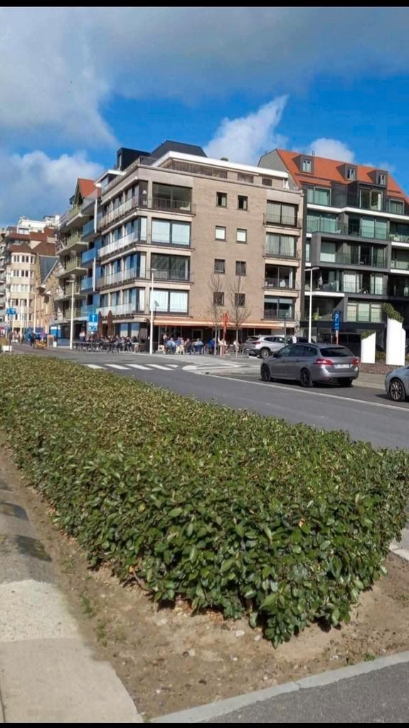 Te koop: gerenoveerd appartement op toplocatie in Nieuwpoort, Immo, Huizen en Appartementen te koop, Provincie West-Vlaanderen