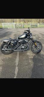 Harley-Davidson Iron 883, Motoren, Motoren | Harley-Davidson, Chopper, Particulier, Meer dan 35 kW