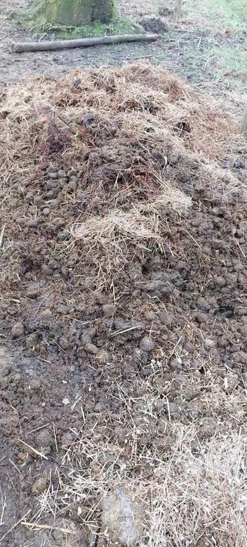 gratis paardenmest beschikbaar voor biedingen