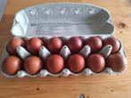 Œufs à éclore de Marans, Poule ou poulet