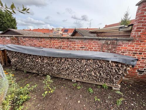 Droog brandhout essenhout – verschillende loten beschikbaar, Tuin en Terras, Brandhout, Blokken, Essenhout, 6 m³ of meer, Ophalen