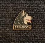 PIN - BRIANCON - FRANCE - FRANKRIJK - CHIEN - HUSKY - HOND, Envoi, Utilisé, Ville ou Campagne, Insigne ou Pin's