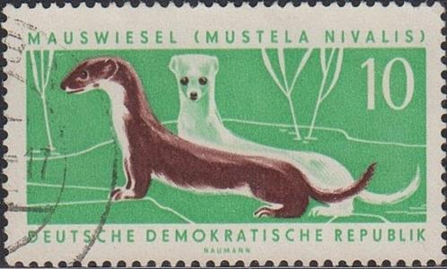 1962 - RDA - Animaux protégés [I] : Belette [Michel 870], Timbres & Monnaies, Timbres | Europe | Allemagne, Affranchi, RDA, Envoi