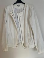 Jas Pepe Jeans maat L, Pepe Jeans, Ophalen of Verzenden, Nieuw, Maat 42/44 (L)