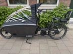 Urban arrow family performance elektrische bakfiets, Fietsen en Brommers, Overige merken, 4 kinderen of meer, Ophalen of Verzenden