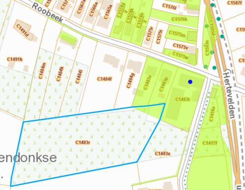 1.3 ha Landbouwgrond / Paardenwei in Arendonk, Immo, Terrains & Terrains à bâtir, 1500 m² ou plus, Ventes sans courtier