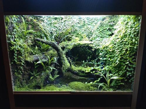 Terrariums (grote slechts nog enkele dagen beschikbaar), Dieren en Toebehoren, Reptielen en Amfibieën | Toebehoren, Gebruikt, Terrarium of Paludarium
