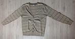 Gilet homme XL, Bruin, Angelo Litrico, Maat 56/58 (XL), Ophalen of Verzenden