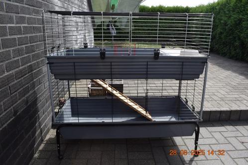 knaagdierenkooi met twee verdiepen, Dieren en Toebehoren, Knaagdieren en Konijnen | Hokken en Kooien, Gebruikt, Kooi, 90 cm of meer