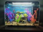 Aquarium, Dieren en Toebehoren, Ophalen, Zo goed als nieuw