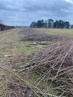 Wilgen takken/Hakseling, Accessoires