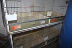 Vogelkooien, Ophalen, Gebruikt, Hout, Broedkooi of Kweekkooi