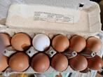 Verse eieren
