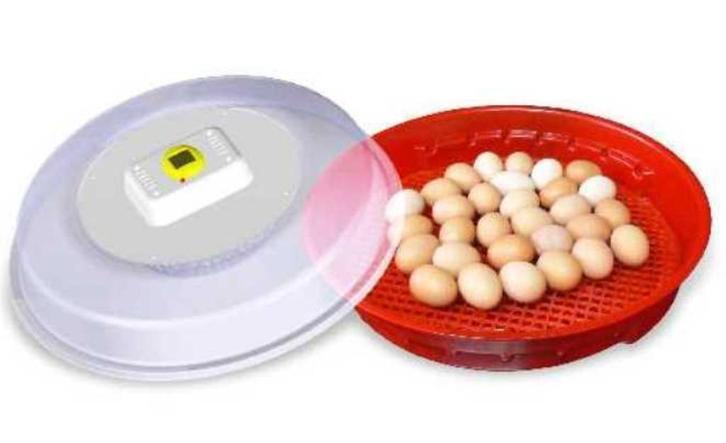 Puisor 102 TH –Autm. broedmachine + Gratis broedei, Dieren en Toebehoren, Pluimvee | Toebehoren, Nieuw, Broedmachine, Ophalen of Verzenden