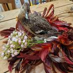 Opgezet eendje met pluimenkrans en  boeketje bloempjes, Ophalen