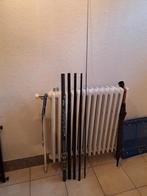 Canne sensas pole king, Enlèvement