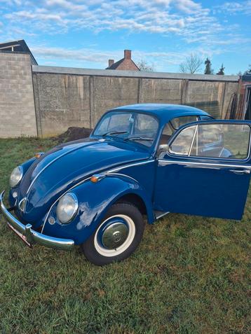 Vw kever   1300   1967, Autos, Particulier, Achat