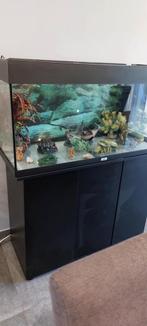 Aquarium Juwel RIO 180 complet avec meuble, Dieren en Toebehoren, Ophalen, Gebruikt