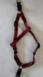 Harnais baudrier bordeau S, Animaux & Accessoires, Accessoires pour chiens, Utilisé, Enlèvement ou Envoi