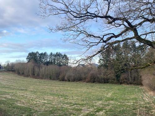 Terrain à vendre - Région de Philippeville, Immo, Terrains & Terrains à bâtir, 1500 m² ou plus