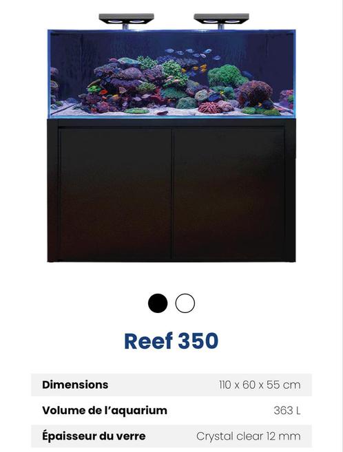 Aquarium eau de mer 400l full équipé gestion automatique, Dieren en Toebehoren, Vissen | Aquaria en Toebehoren, Gebruikt, Ophalen
