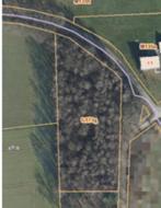 Bos te koop, Immo, Molenstede-Diest, Verkoop zonder makelaar, 1500 m² of meer