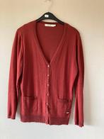 Cardigan (afgeboord met glitter), Luna's, 44, Overige kleuren, Maat 42/44 (L), Ophalen of Verzenden, Zo goed als nieuw