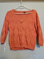 roze gilet who's that girl (small), Kleding | Dames, Ophalen of Verzenden, Zo goed als nieuw