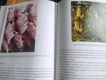 boek: natuur-en vogelreservaten-Venen & De Kempen beschikbaar voor biedingen