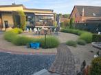 Tuinman of vrouw gezocht, Diensten en Vakmensen, Tuinonderhoud of Snoeiwerk