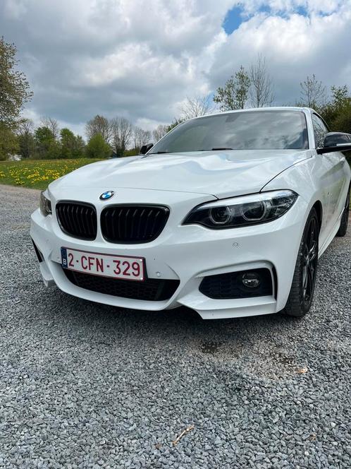BMW 2-serie Coupé compleet M-pakket, Auto's, BMW, Particulier, ABS, Adaptive Cruise Control, Airbags, Airconditioning, Alarm, Android Auto