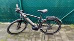 SpeedPedelec Gazelle CityZen Speed 380 Heren, Fietsen en Brommers, Ophalen, Gebruikt, 51 tot 55 cm, 50 km per accu of meer