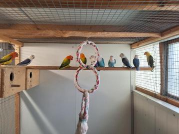 Fischerie  beschikbaar voor biedingen