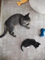 Tapijt, Ophalen, Zo goed als nieuw