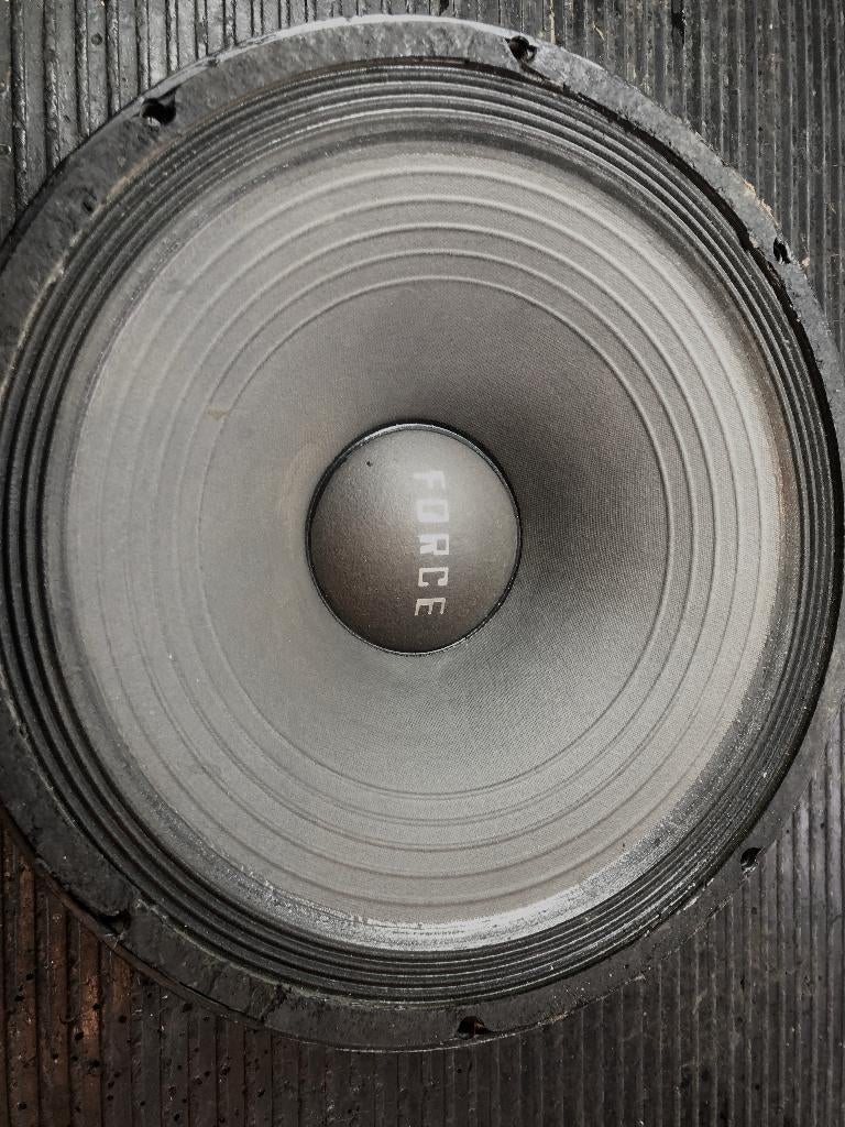 EV Force 15" speaker, Audio, Tv en Foto, Luidsprekerboxen, Ophalen of Verzenden, Gebruikt, 120 watt of meer, Overige merken