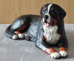 beeld van een berner sennen hond, Verzamelen, Ophalen of Verzenden, Zo goed als nieuw, Dier