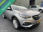 Opel Grandland X 1.2 Turbo / 1ste eigenaar / 2018 / zeer net, Achat, 1273 kg, Entreprise, Détection des panneaux routiers