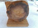 Stuk fossiel hout versteend op houten staandertje 150 gram, Ophalen of Verzenden, Fossiel