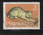 Roemenië - Afgestempeld - Lot Nr. 1174 - Katachtigen, Timbres & Monnaies, Timbres | Timbres thématiques, Animal et Nature, Affranchi