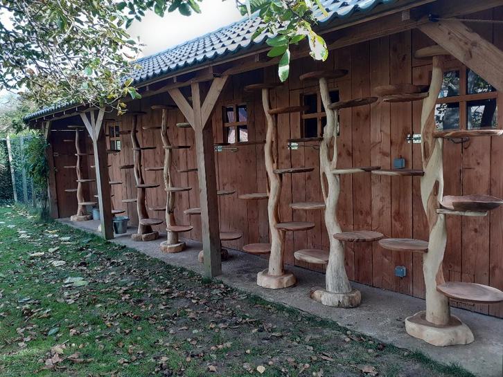 Kattenpalen, Dieren en Toebehoren, Krabmeubelen, Nieuw, Krabpaal, Ophalen of Verzenden