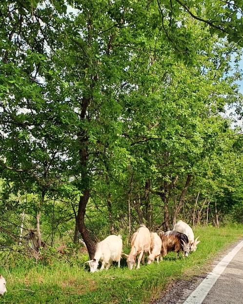 Maison vacances Italie, Vakantie, Bed & Breakfasts en Pensions, Overige