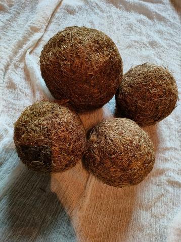 Set met 4 decoratieve gouden mosbollen beschikbaar voor biedingen