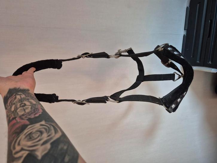 Matériel d’équitation, Dieren en Toebehoren, Paarden en Pony's | Hoofdstellen en Tuigage, Ophalen of Verzenden